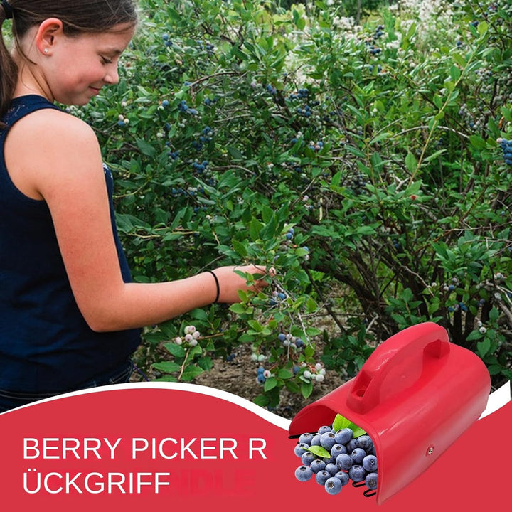 Beerenpflücker Beerenkamm Metallschaufel Für Obstsammlung Blaubeerpflücker Schaufel Werkzeug Heidelb