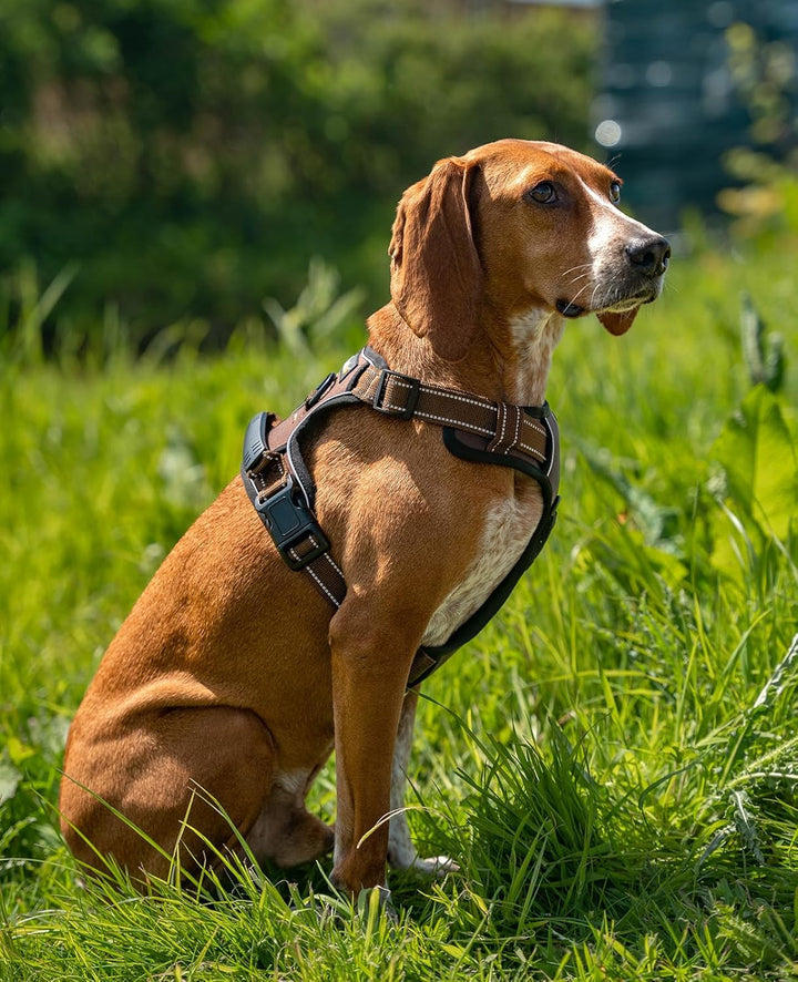 lionto Hundegeschirr gepolstert aus weichem Nylon, Grösse S, reflektierendes Anti Zug Geschirr für H