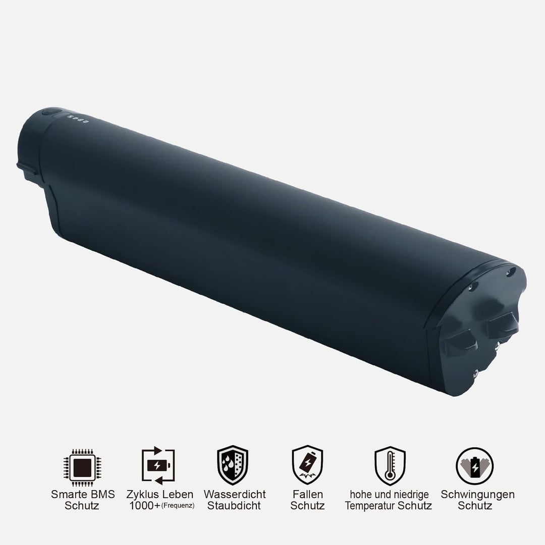 Ersatz für F.LLI Schiano E-Wave/Braver/E-Fully Reention EEL Mini für Zündapp z810 36V 250W/350W/500W