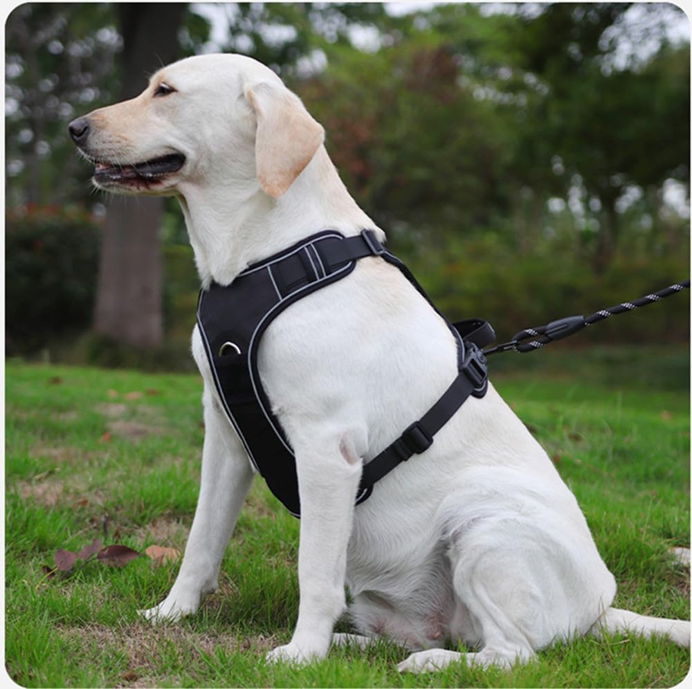 Hundegeschirr mit adaptiertem Airtag Positioner Schutzhülle Design, verstellbarem Zugschutz, Erstick