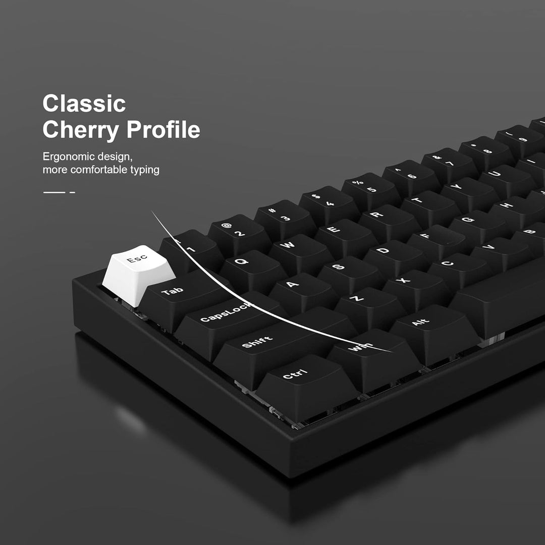 WOB Keycaps 168 Tasten, Double Shot PBT Custom Keycap Set, Minimalistischer Stil Weiss auf Schwarz C
