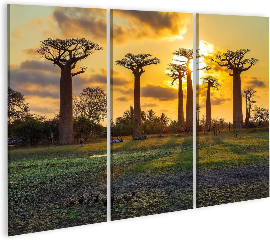islandburner Bild auf Leinwand Schöne Baobab Bäumen Bei Sonnenuntergang In Der Allee Der Baobabs In