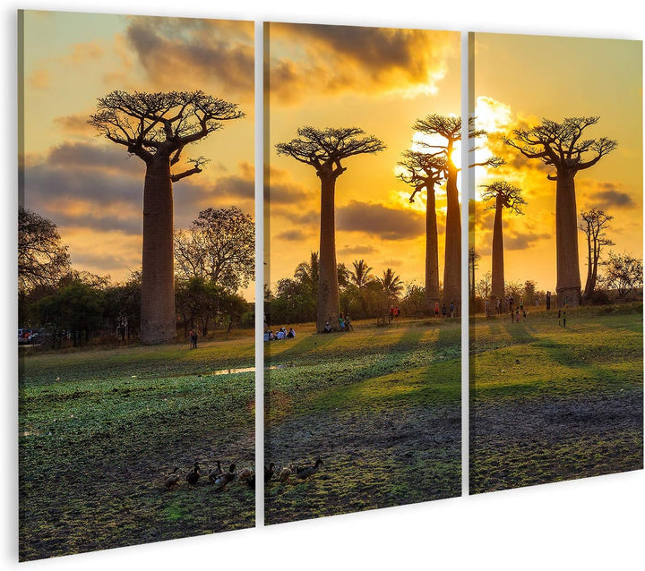 islandburner Bild auf Leinwand Schöne Baobab Bäumen Bei Sonnenuntergang In Der Allee Der Baobabs In