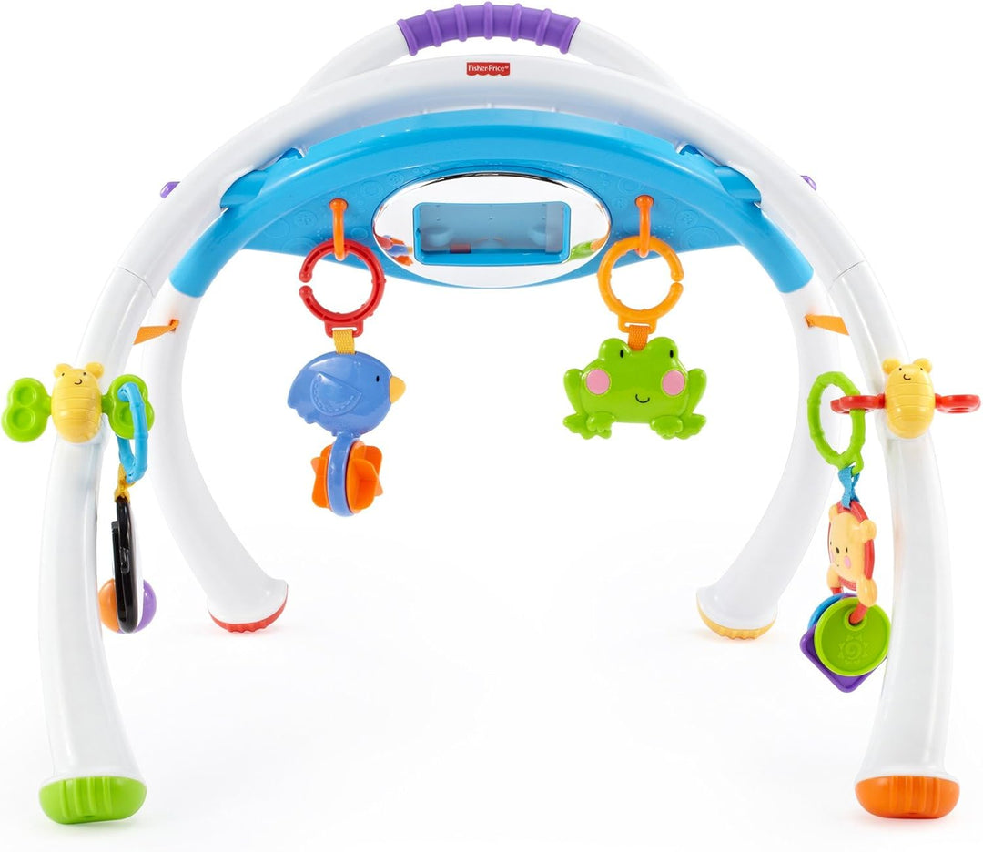 Fisher-Price Mattel Y4476 Apptivity Gym