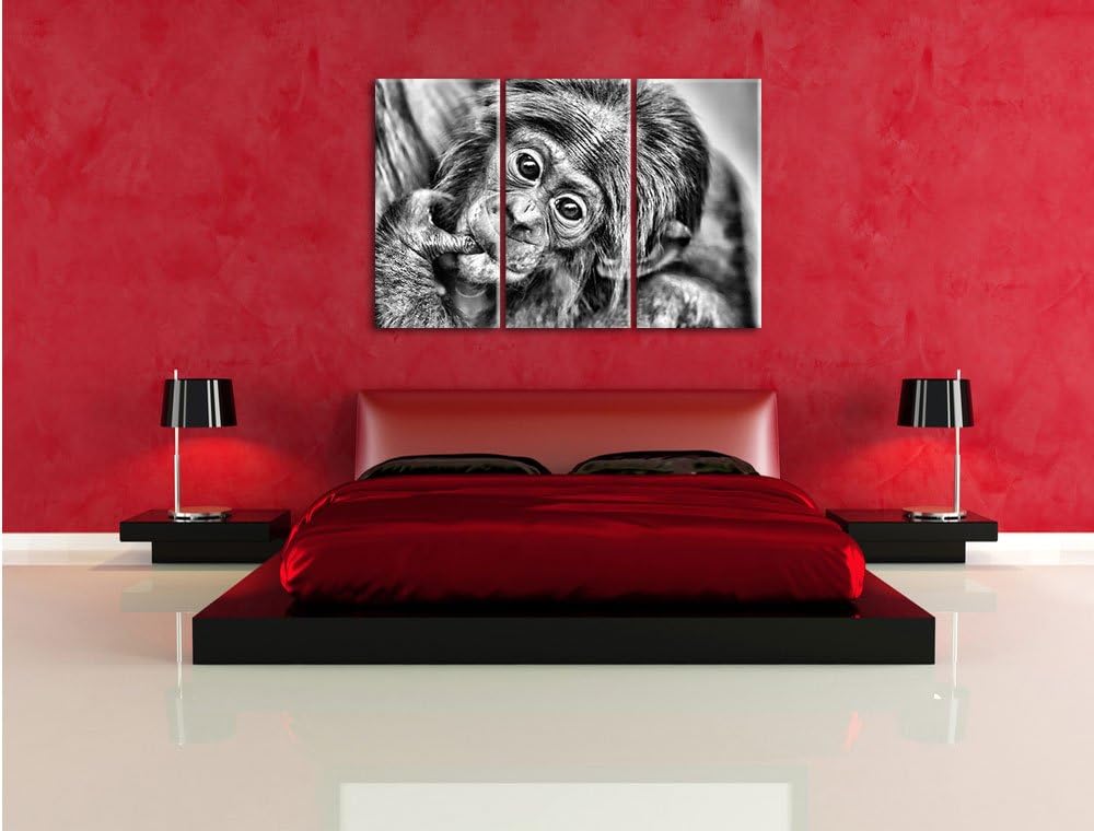 Pixxprint süsses Orang-Utan-Junges als Leinwandbild/Grösse: 3 Teilig (120x80) cm/Wandbild/Kunstdruck