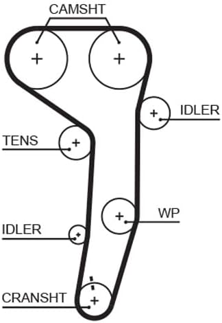 GATES Steuerriem 5607XS
