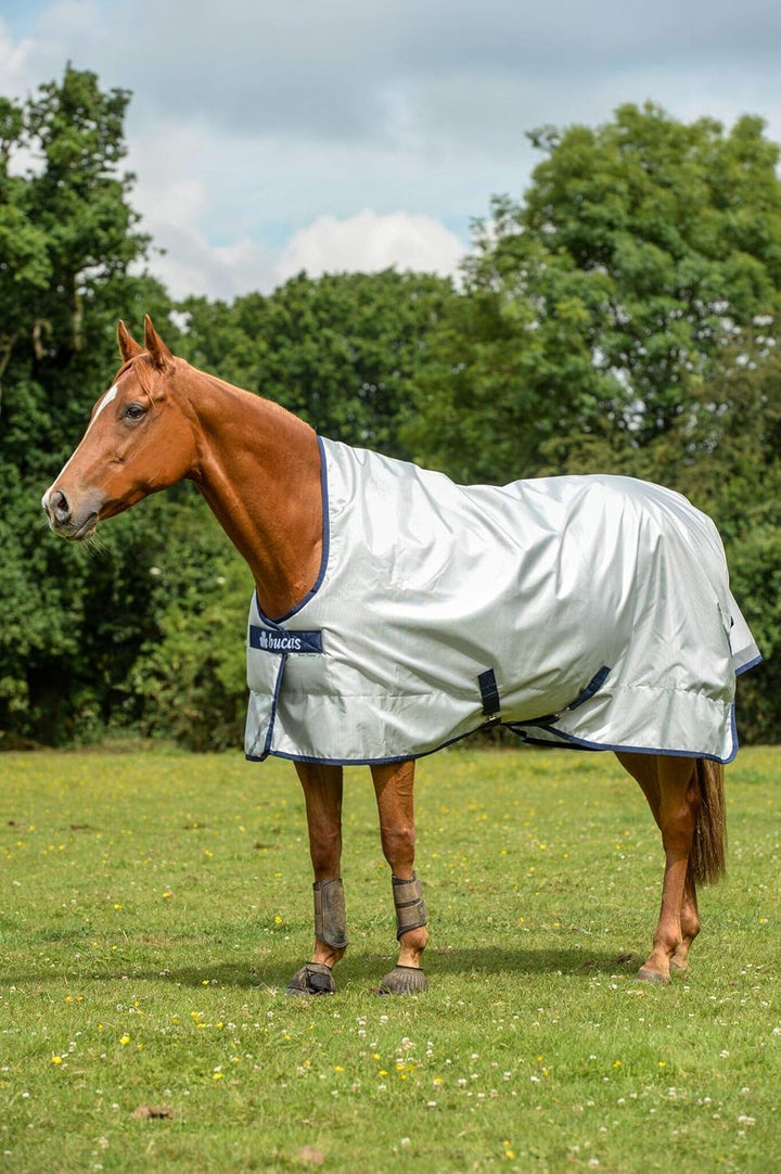 BUCAS Power Turnout light High Neck