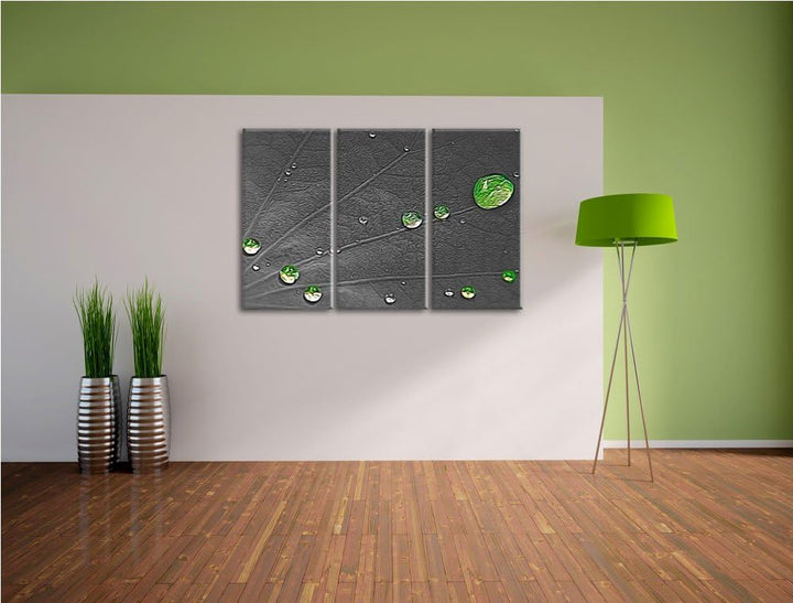 winzige Wassertropfen auf grünem Blatt schwarz/weiss Spezial 3-Teiler Leinwandbild 120x80 Bild auf L