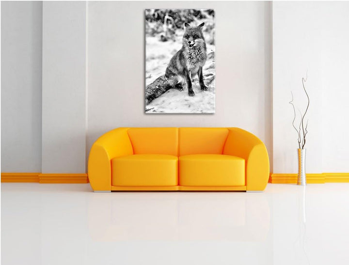 Pixxprint Fuchs im Schnee als Leinwandbild/Grösse: 100x70 / Wandbild/Kunstdruck/fertig bespannt, 100