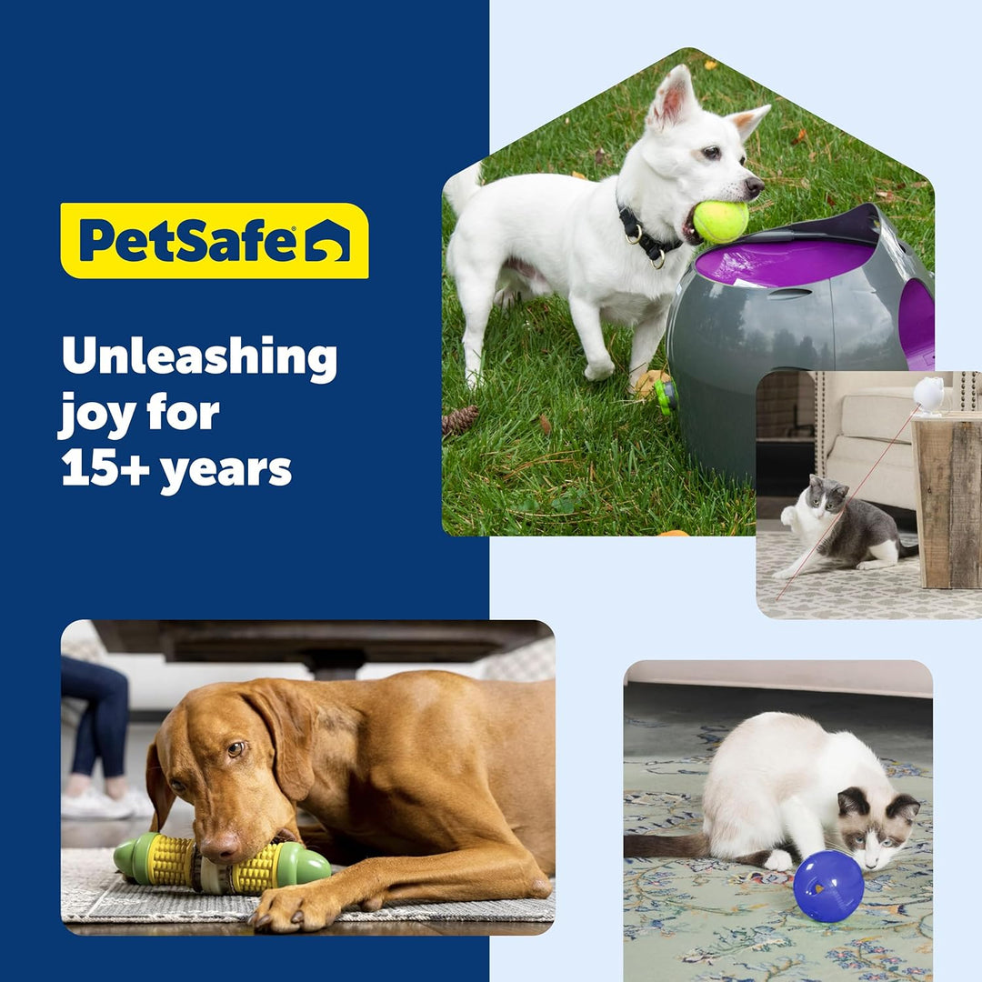 PetSafe Busy Buddy Jack Hundespielzeug, L
