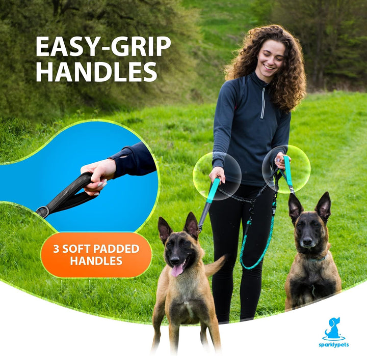Hundeleine für 2 Hunde mit Bungee Verlängerung für Grosse und Mittelgrosse Hunde mit Ruckdämpfer | R