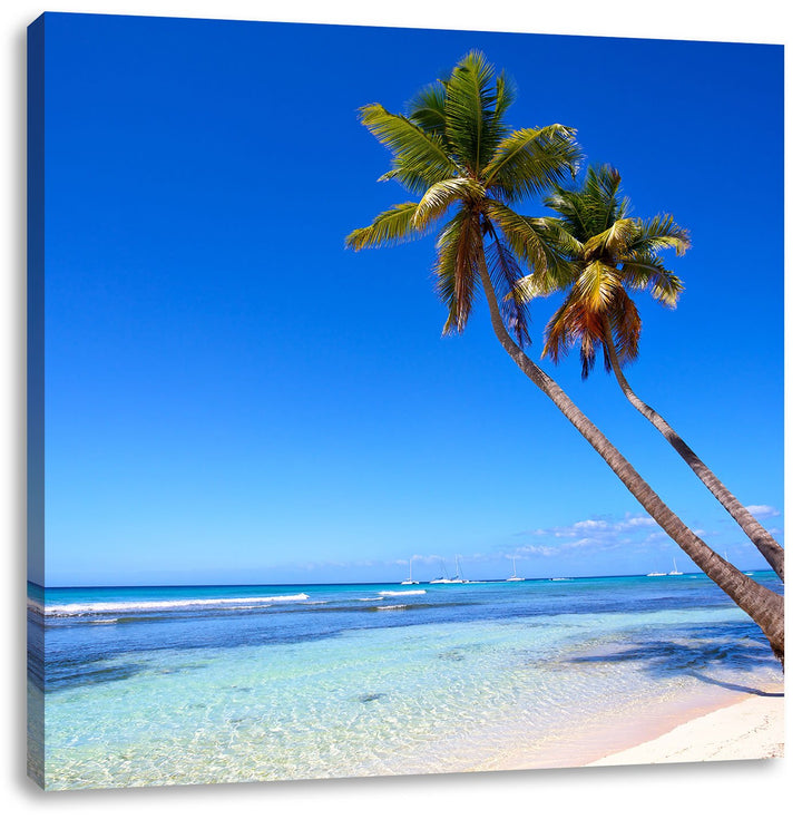 Palmen am Strand, Format: 70x70 auf Leinwand, XXL riesige Bilder fertig gerahmt mit Keilrahmen, Kuns