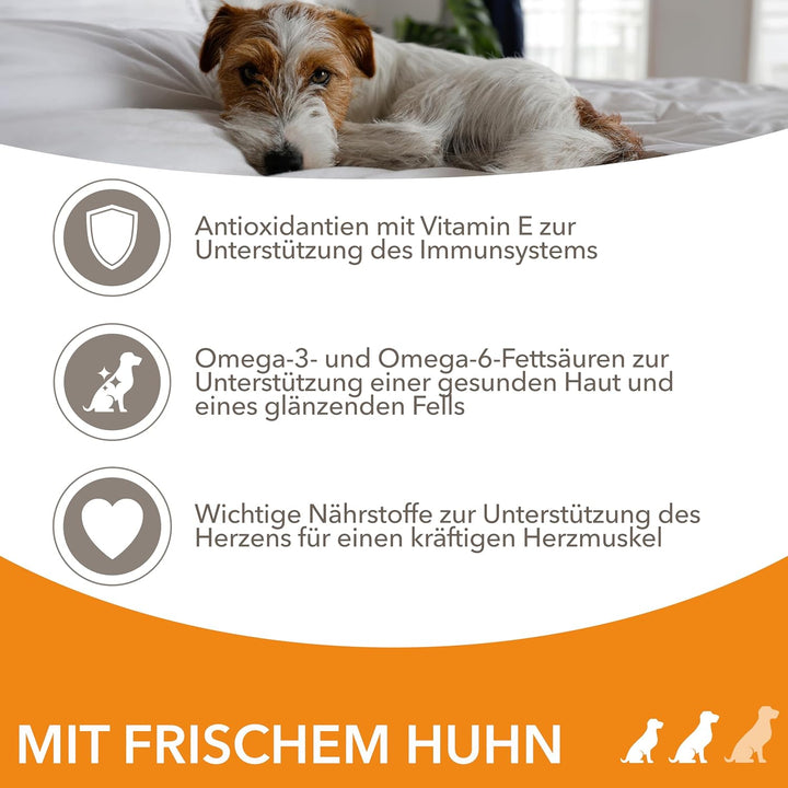 IAMS for Vitality Hundefutter trocken Huhn - Trockenfutter für erwachsene Hunde ab 1 Jahr, geeignet