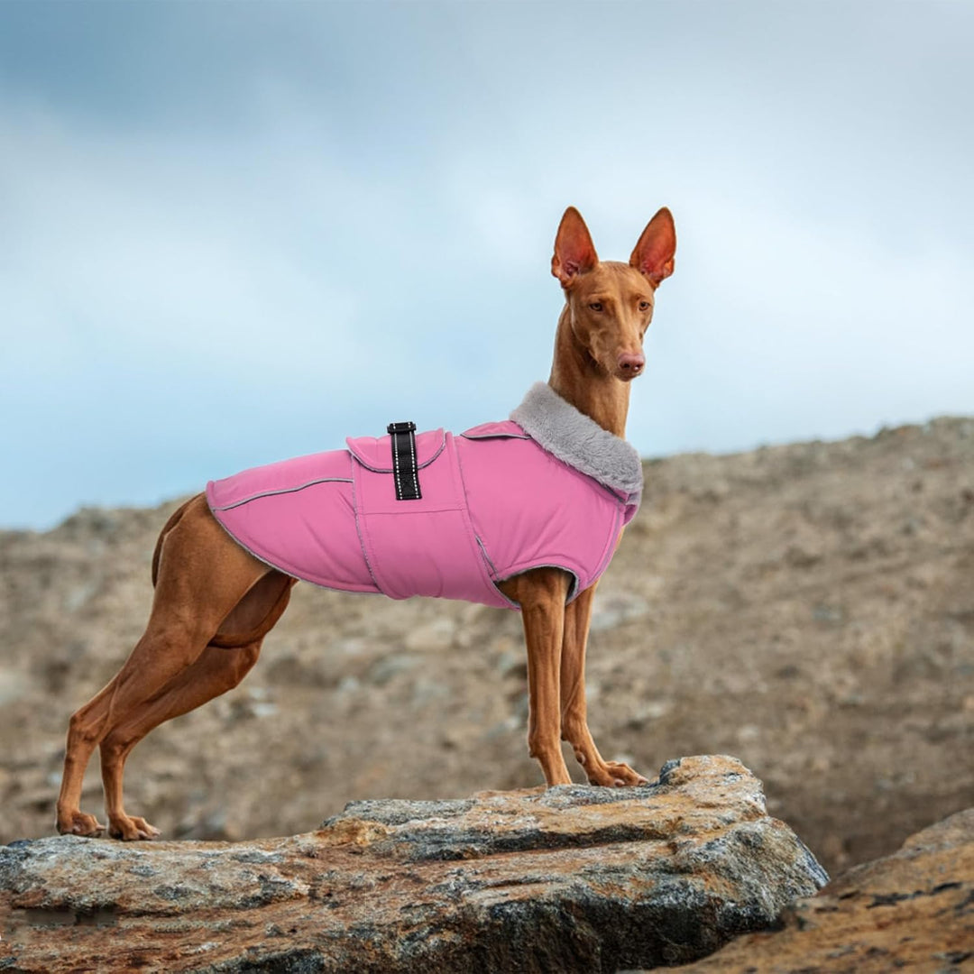 Lelepet Hundejacke Winter Warmer Hundemantel, Wasserdichter Wintermantel Fleece Hundeweste für Mitte