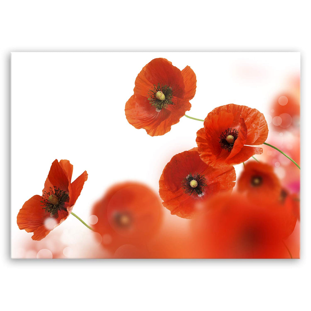 ge Bildet Bild auf Leinwand | Mohn in 70x50 cm als Wandbild | Wand-deko Dekoration Wohnung modern Bi