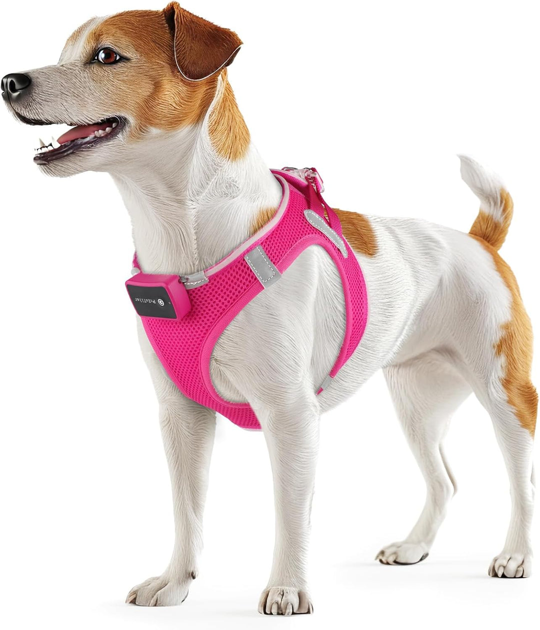 PcEoTllar Hundegeschirr Leuchtend, Leuchtgeschirr LED Aufladbar & Reflektierendes, Beleuchtetes Leuc