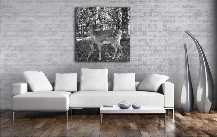 deyoli Bezaubernder Hirsch im Wald im Format: 70x70 Effekt: Schwarz&Weiss als Leinwandbild, Motiv au