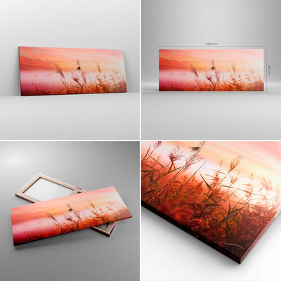 Panorama Bilder auf Leinwand 100x40cm Leinwandbild Wiese Getreide Natur Gross Wanddeko Bild Schlafzi