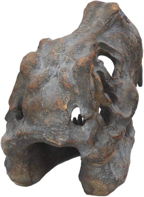 Nemesis Now Figur Tyrannosaurus Rex Totenkopf, freistehend, 18,5 cm, Grau