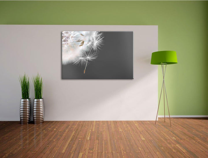 hübsche Pusteblume schwarz/weiss Format: 100x70 auf Leinwand, XXL riesige Bilder fertig gerahmt mit
