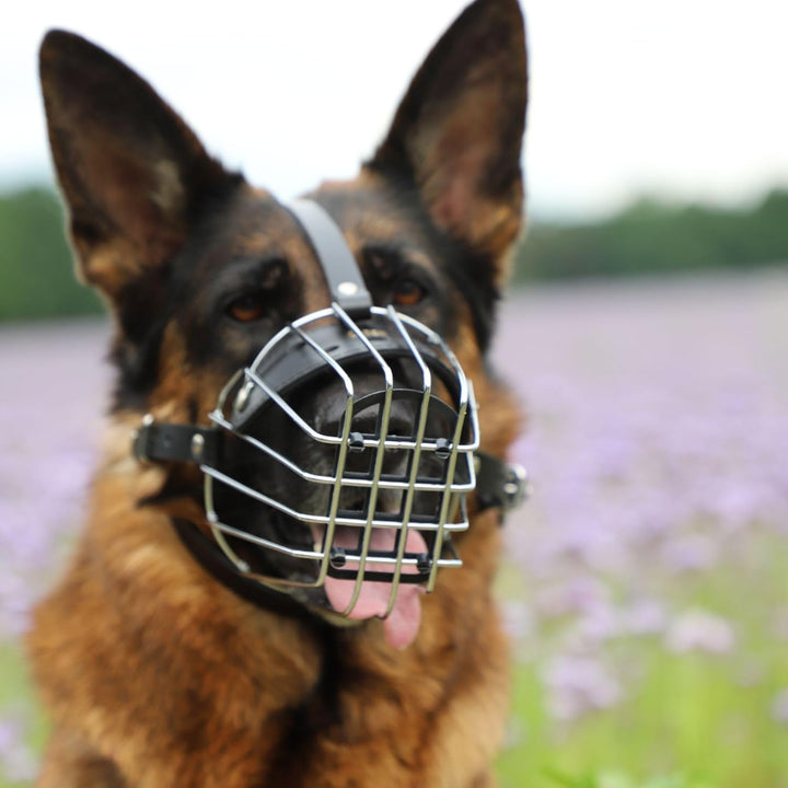 Dingo Mettal Maulkorb Nr9 Drahtmaulkorb befindet Sich kein Kunststoffgitter.für Hundetraining Handar