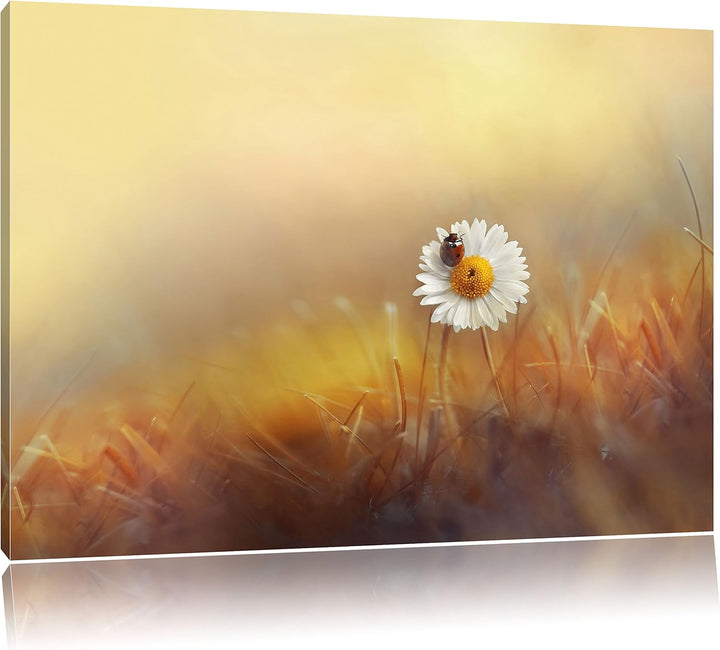 Pixxprint Gänseblümchen mit Marienkäfer im Gras, Format: 100x70 auf Leinwand, 100x70