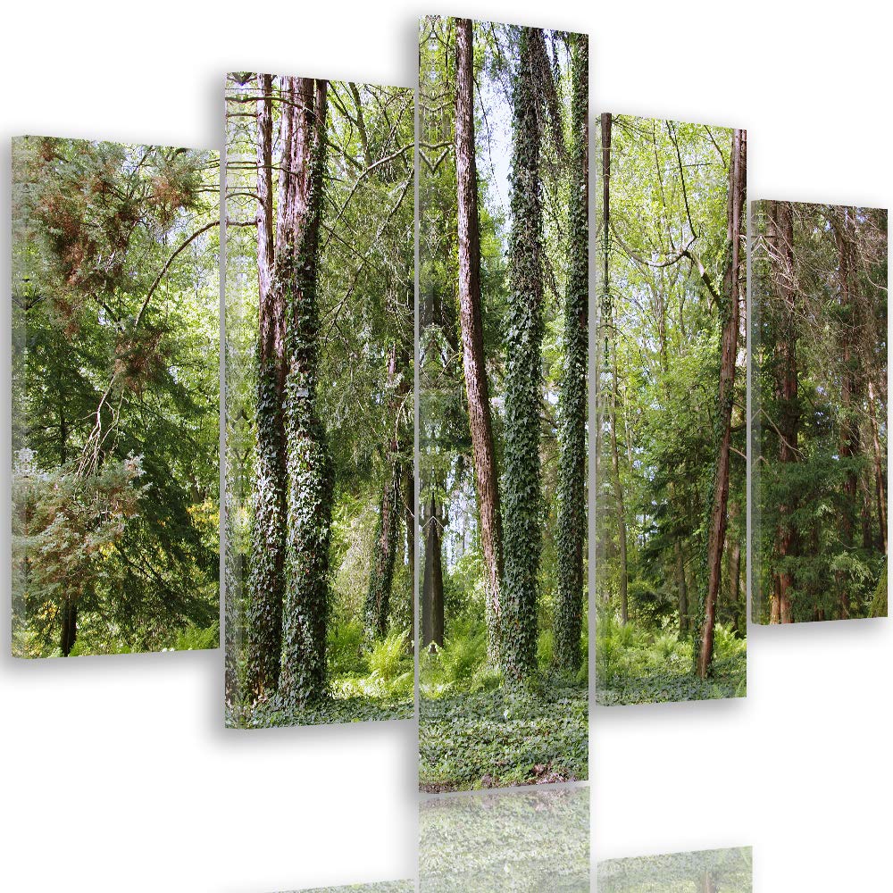 Feeby Leinwandbild 5 Teilig Landschaft Bild Wanddeko Natur Wald Lichtung grün 150x100 cm M_11535 150
