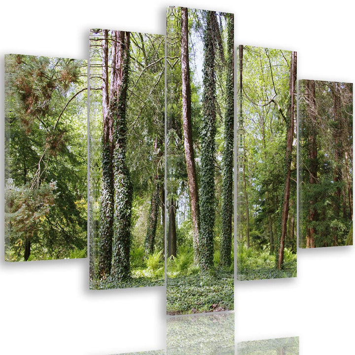 Feeby Leinwandbild 5 Teilig Landschaft Bild Wanddeko Natur Wald Lichtung grün 150x100 cm M_11535 150