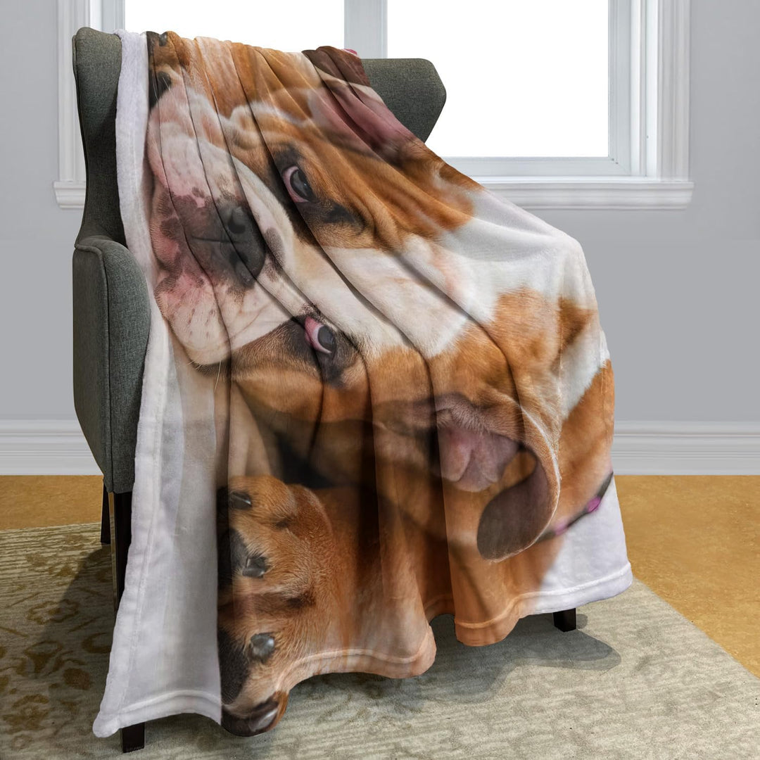 YISUMEI Decke 150x200 cm Kuscheldecken Sanft Flanell Weich Fleecedecke Bettüberwurf Englische Bulldo