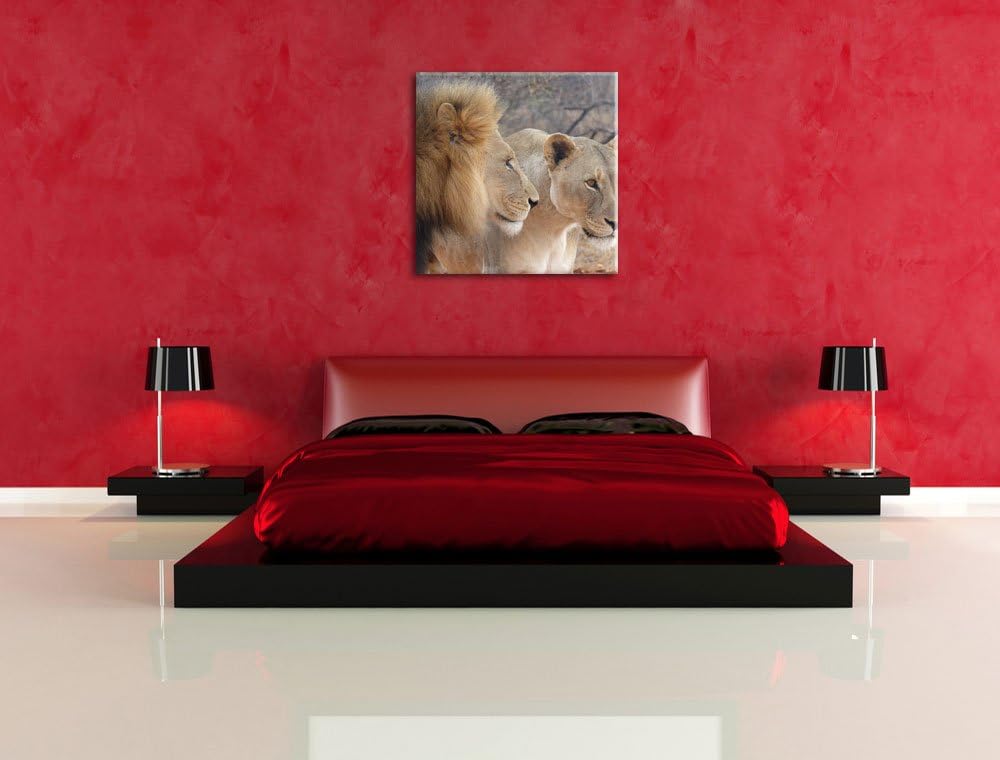 stolzes Löwenpaar, Format: 70x70 auf Leinwand, XXL riesige Bilder fertig gerahmt mit Keilrahmen, Kun