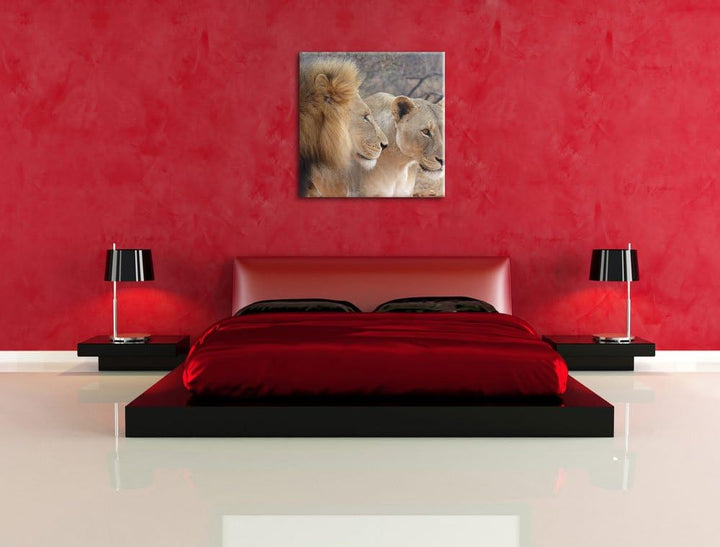 stolzes Löwenpaar, Format: 70x70 auf Leinwand, XXL riesige Bilder fertig gerahmt mit Keilrahmen, Kun