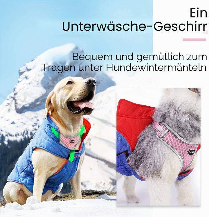 ThinkPet No-Pull Hundegeschirr Leine Set, Atmungsaktiv Brustgeschirr für Kleine Mittlere Grosse Hund