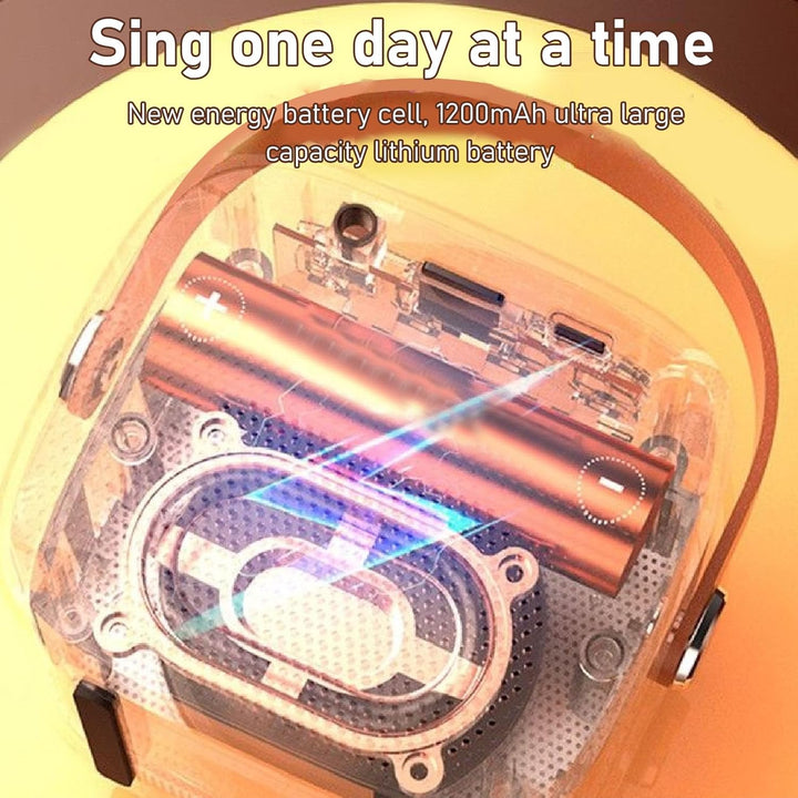 Bluetooth-Karaoke-Maschine für Erwachsene und Kinder, Tragbarer Stereo-Sound-Retro-Lautsprecher mit