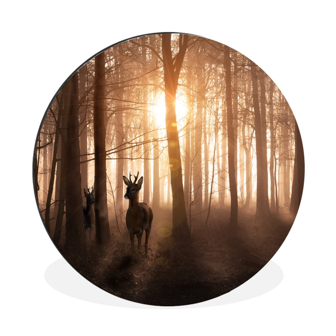 MuchoWow Wandbild Rund Wanddeko Deko Wohnzimmer Bilder 60x60 cm Wald - Hirsche - Sonne - Bäume - Win