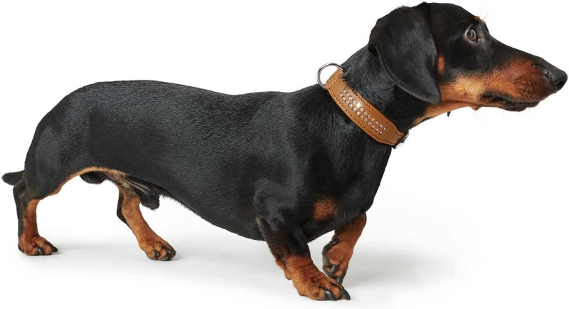 HUNTER DIAMOND ELK PETIT Hundehalsband für kleine Hunde, Leder, Elchleder, weich, Strasssteine, 27 (