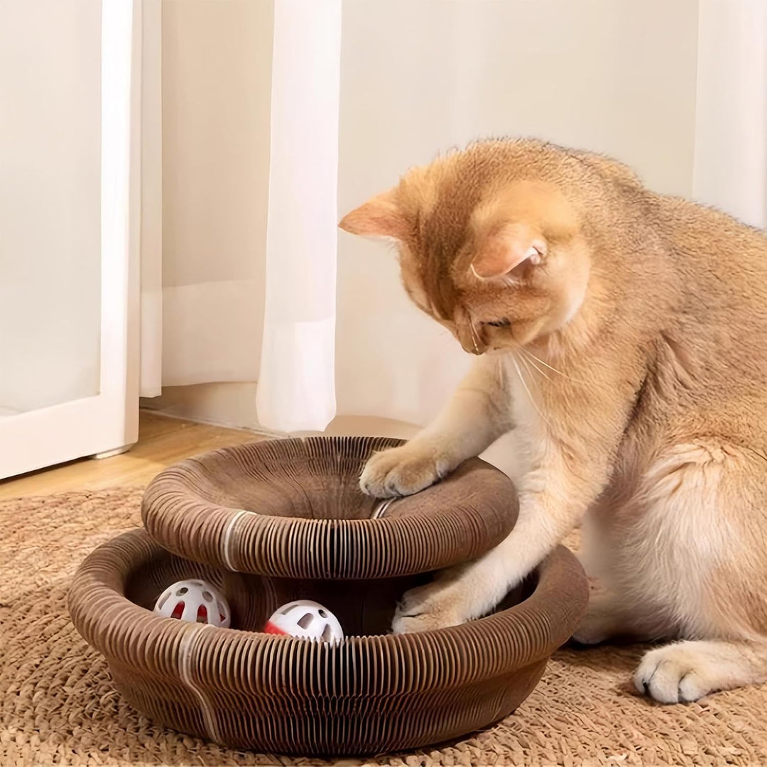 Kratzkokon, Katzenwirbel Für Grosse Katzen, Tragbare Pet Cat Scratch Board, Faltbar Interaktive Krat