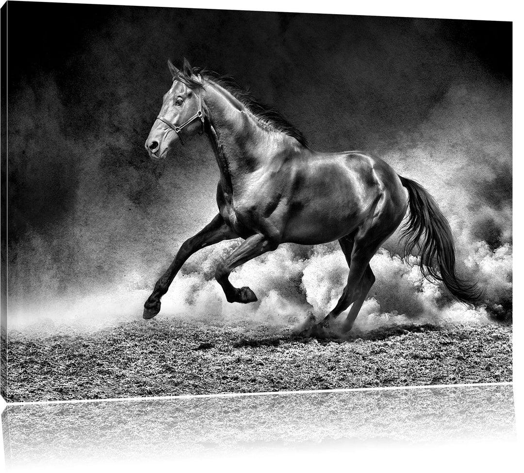 Pixxprint Pferd, Sonnenuntergang, 100x70cm Leinwandbild bespannt auf Holzrahmen/Wandbild Kunstdruck