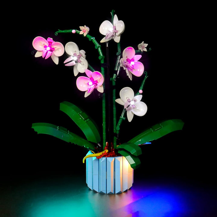 LocoLee Led Licht Set Kompatibel mit LEGO 10311 Orchidee Blumen Botanical Collection (Nur Lichter-Se