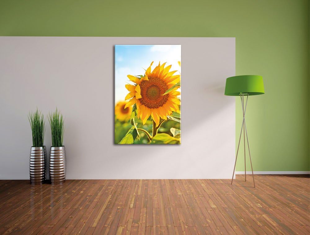 Pixxprint Sonnenblumenfeld SonnenblumeSonne als Leinwandbild/Grösse: 100x70 / Wandbild/Kunstdruck/fe