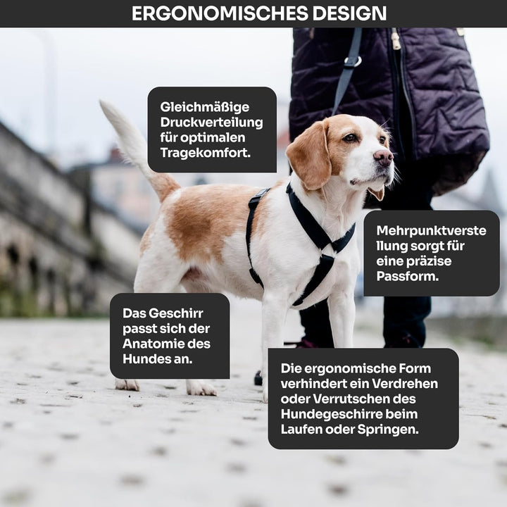 Chaba Guard Hundegeschirr für mittelgrosse Hunde mit Kontrolle, Anti-Zug & Würgen, Verstellbar, Komf