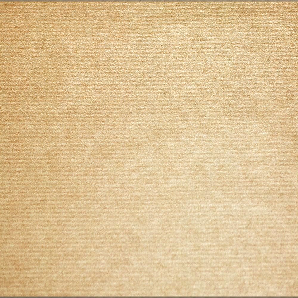 Pronappe Tischdecke 324040I 500er Pack Einweg-Tischset aus glattem braunen Kraftpapier 30 x 40 cm Fa