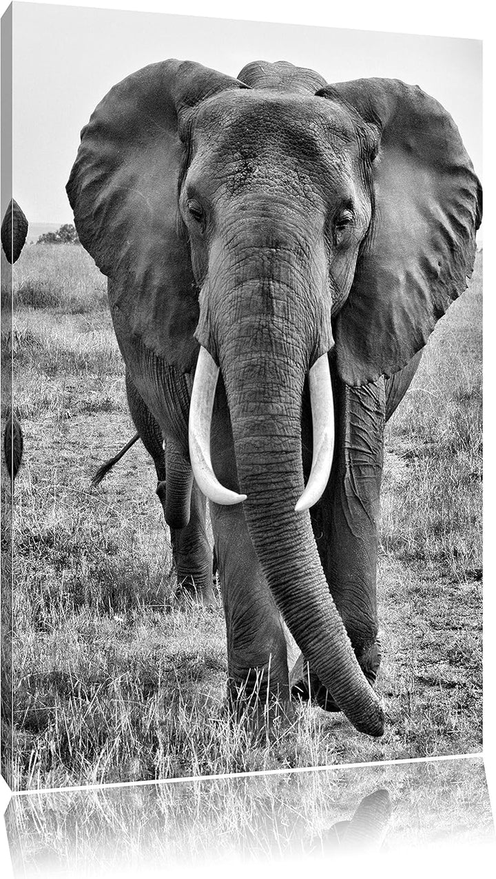 Pixxprint grosse wandernde Elefantenhorde/Format: 100x70cm / Leinwandbild fertig bespannt Wandbild K