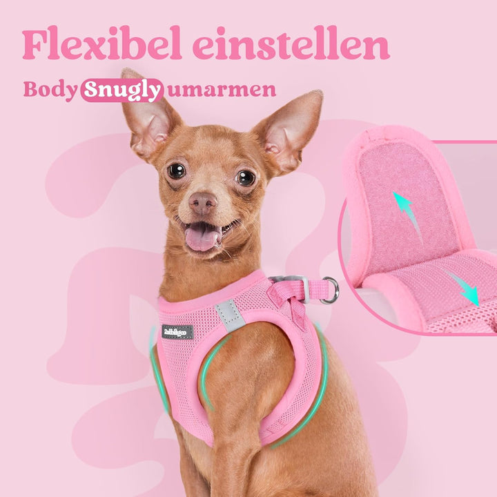 rabbitgoo Hundegeschirr Kleine Hunde, Step-in Welpengeschirr Weich Mesh für Spaziergänge, Atmungsakt