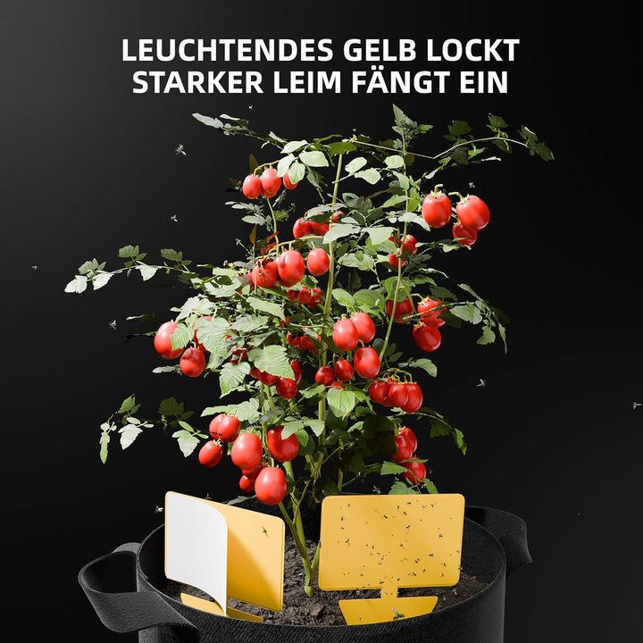 Spider Farmer Cost-Effective 9-in-1 Plant Grow Tools Kit, Professionelle Kräuter Gartengeräte, Garte