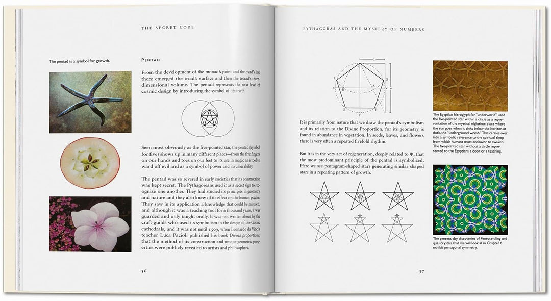 Der Geheime Code, Gebundenes Buch