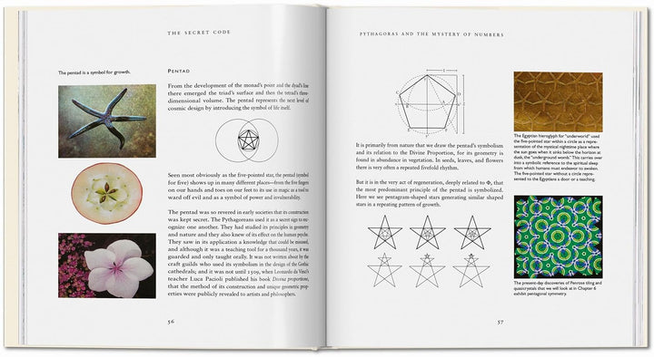 Der Geheime Code, Gebundenes Buch