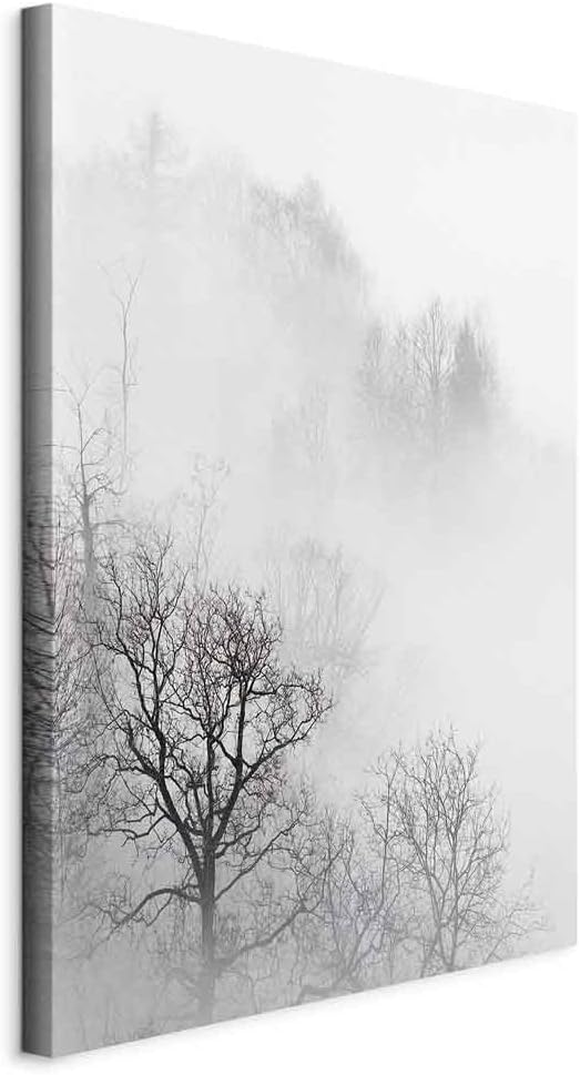 murando - Bilder Wald Nebel 80x120 cm Vlies Leinwandbild 1 tlg Kunstdruck modern Wandbilder XXL Wand