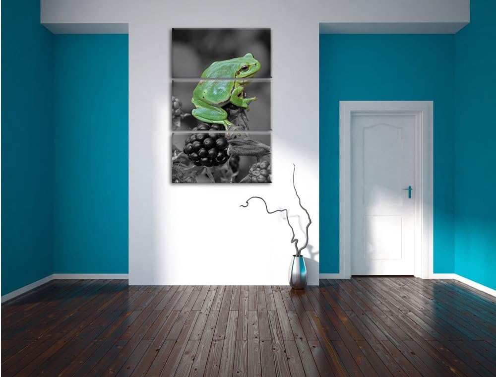 Pixxprint Frosch auf Brombeerstrauch als Leinwandbild/Grösse: 3 Teilig (120x80) cm/Wandbild/Kunstdru