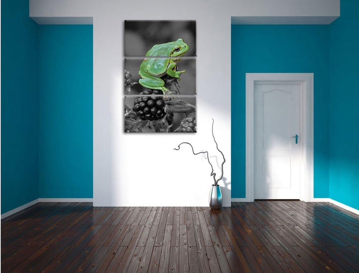 Pixxprint Frosch auf Brombeerstrauch als Leinwandbild/Grösse: 3 Teilig (120x80) cm/Wandbild/Kunstdru