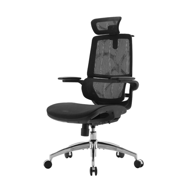 SIHOO M59AS Ergonomischer Bürostuhl mit 3D-koordinierbaren, hochklappbaren Armlehnen, Doppelsitzlehn